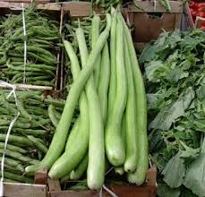 ZUCCA DA PERGOLA NR.20 SEMI